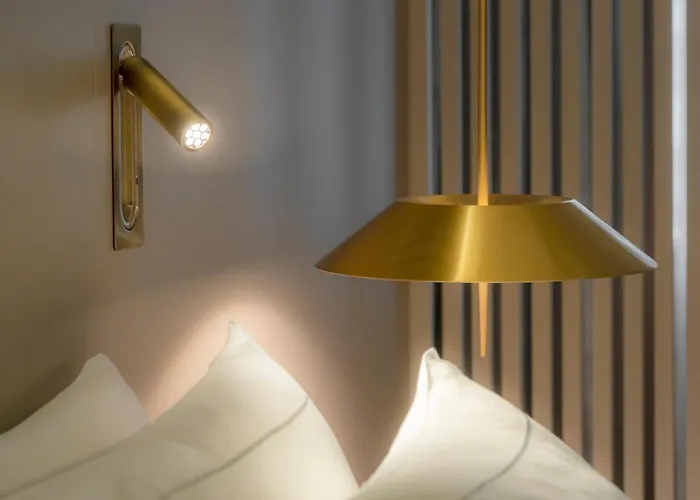 Hotel Carlemany 4*